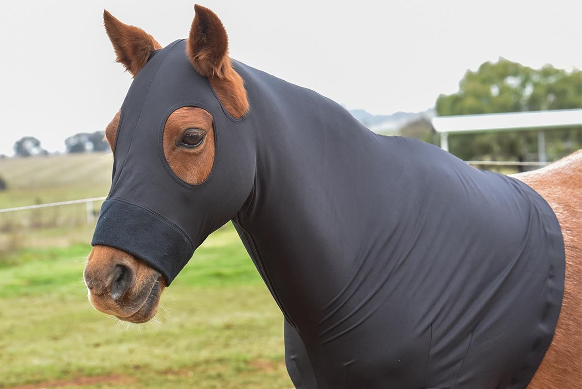 Lycra Horse Hood Go Horse