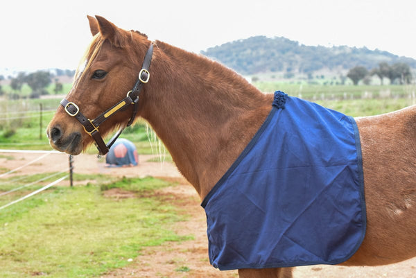 Go Horse Cotton Bibs