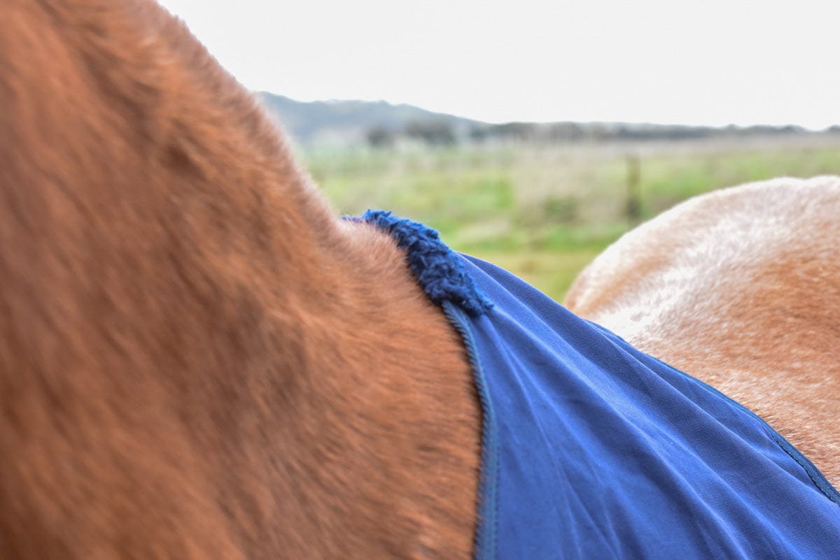 Go Horse Cotton Bibs