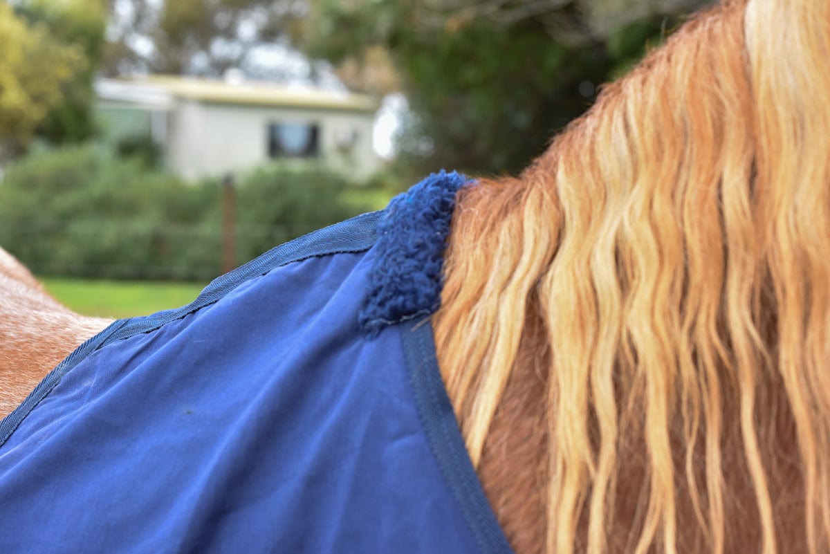 Go Horse Cotton Bibs