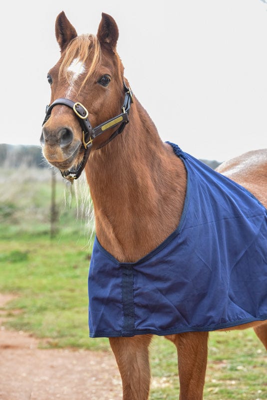 Go Horse Cotton Bibs