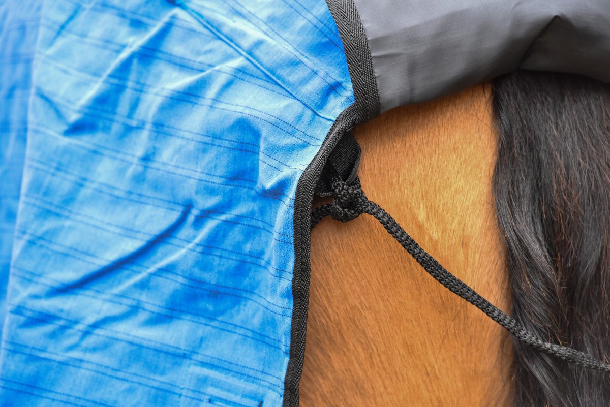 Go Horse Derby PC Canvas Rug Unlined