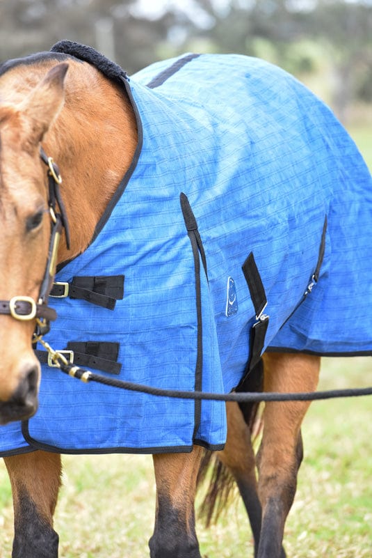 Go Horse Derby PC Canvas Rug Unlined