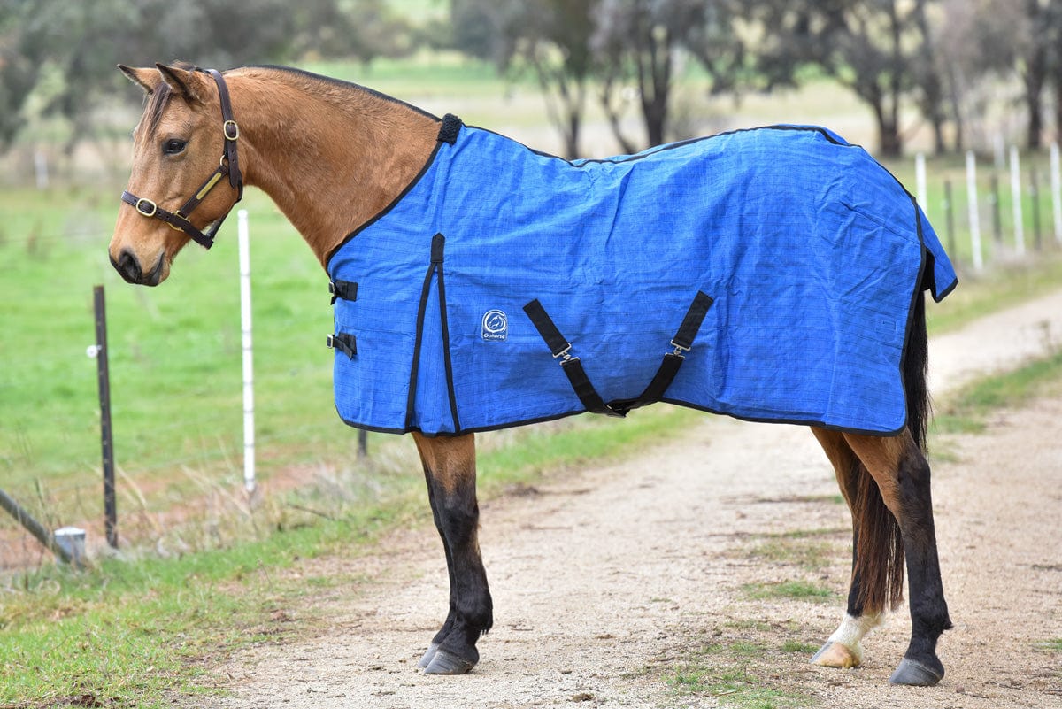 Go Horse Derby PC Canvas Rug Unlined
