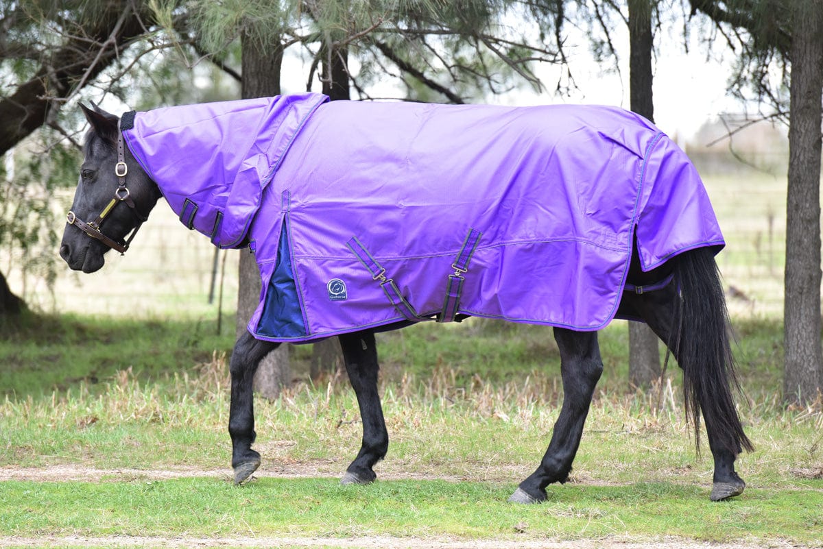 Go Horse Pindar Pro Padded Detachable Neck Combo