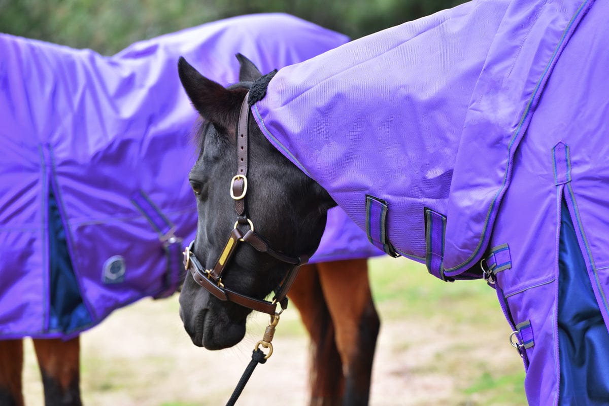 Go Horse Pindar Pro Padded Detachable Neck Combo