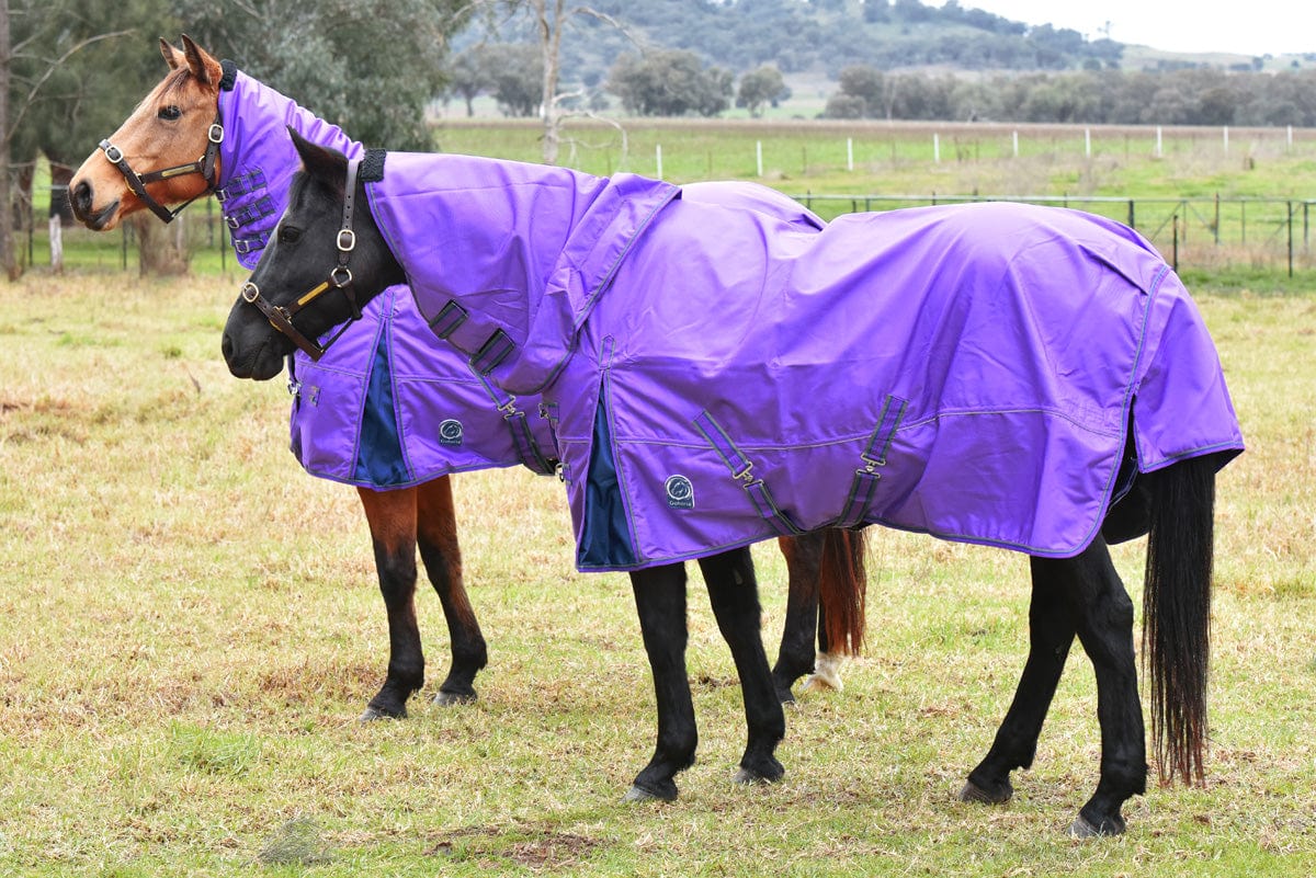 Go Horse Pindar Pro Padded Detachable Neck Combo