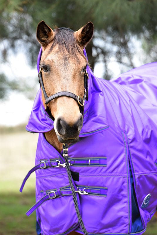 Go Horse Pindar Pro Padded Detachable Neck Combo