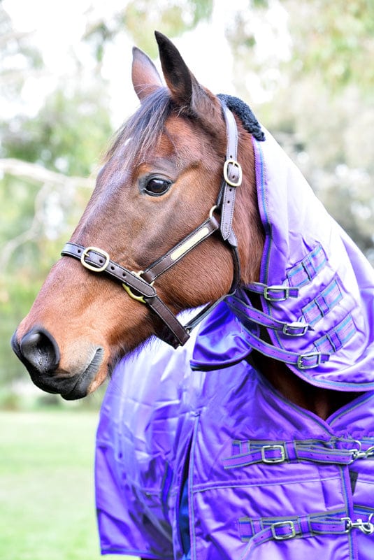 Go Horse Pindar Pro Padded Detachable Neck Combo
