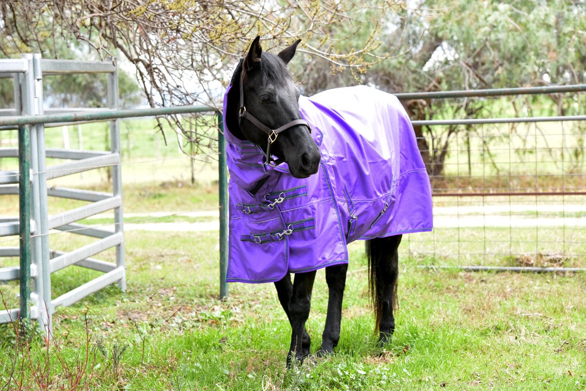 Go Horse Pindar Pro Padded Rug