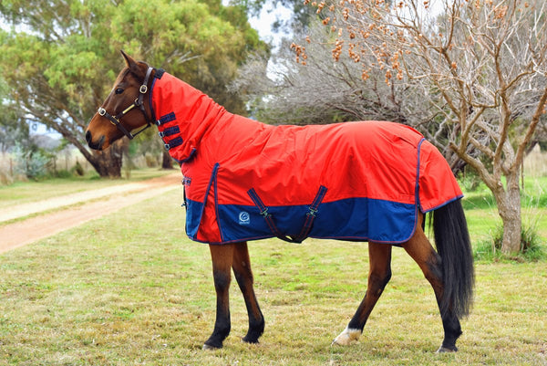 Go Horse Randwick Padded Combo