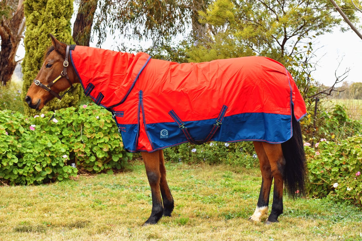Go Horse Randwick Padded Detachable Neck Combo