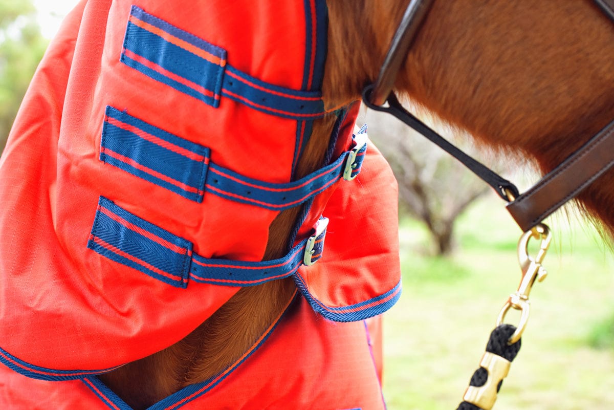 Go Horse Randwick Padded Detachable Neck Combo