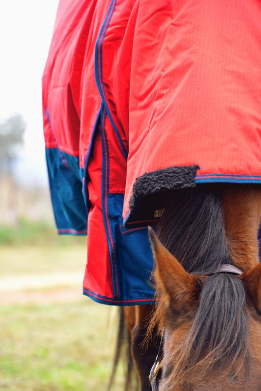 Go Horse Randwick Padded Detachable Neck Combo