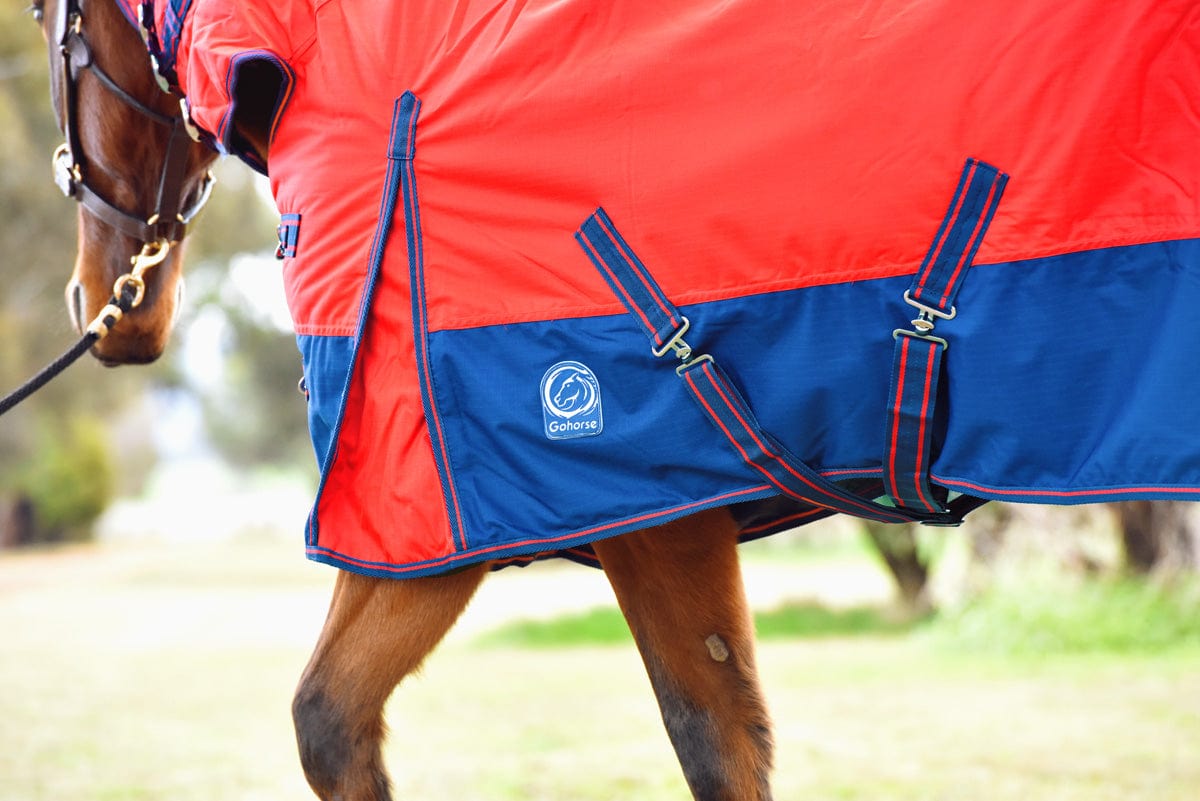 Go Horse Randwick Padded Detachable Neck Combo