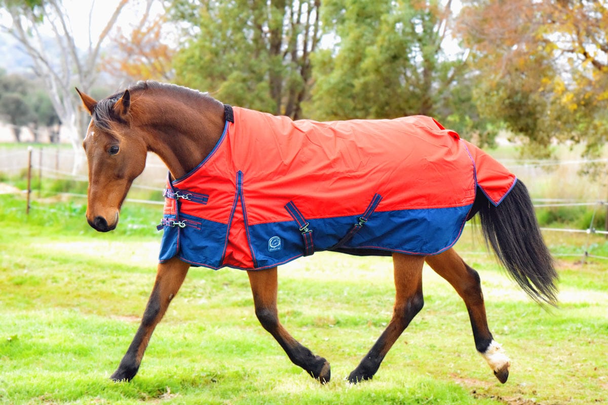 Go Horse Randwick Padded Rug