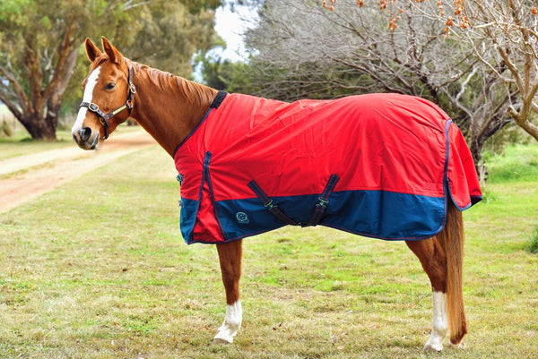 Go Horse Randwick Padded Rug