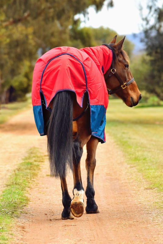 Go Horse Randwick Rain Sheet Detachable Neck Combo