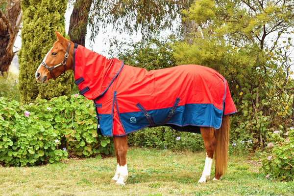 Go Horse Randwick Rain Sheet Detachable Neck Combo