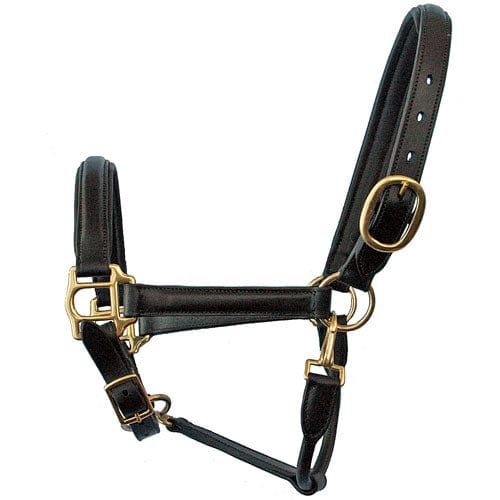 Go Horse Burland Black Leather Premium Halter