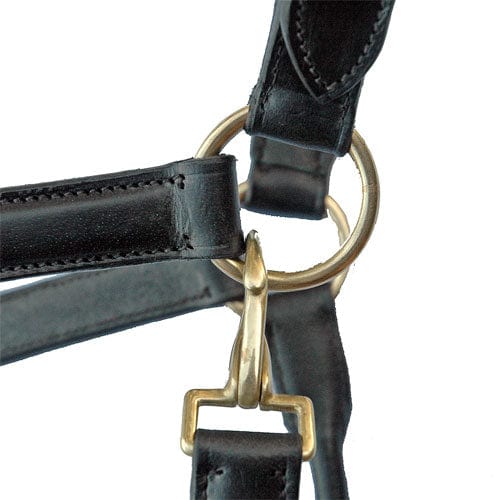 Go Horse Burland Black Leather Premium Halter