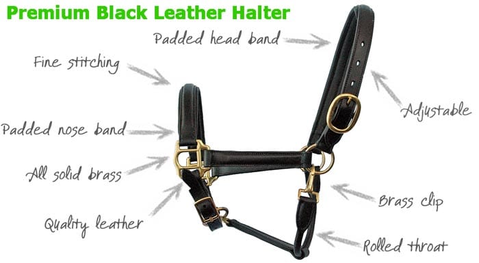 Go Horse Burland Black Leather Premium Halter