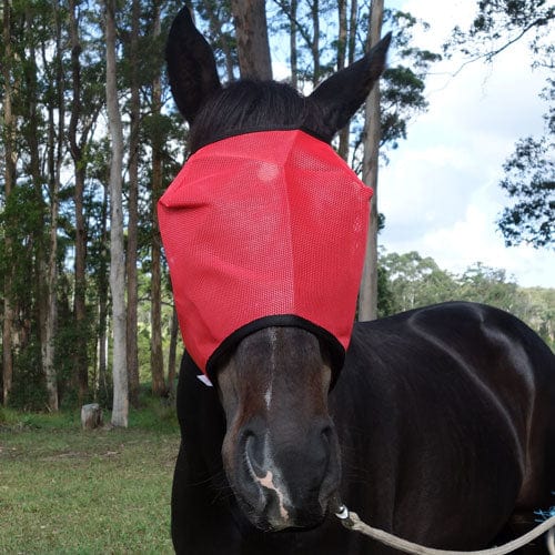 Go Horse Burland Fly Mask