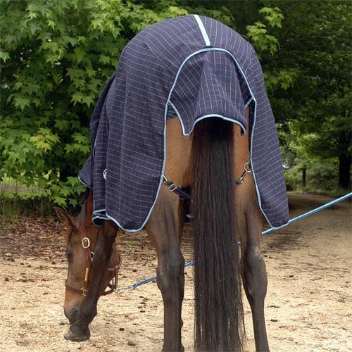 Go Horse Coolah Navy Polycotton Combo Horse Rug