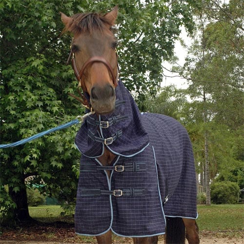 Go Horse Coolah Navy Polycotton Combo Horse Rug