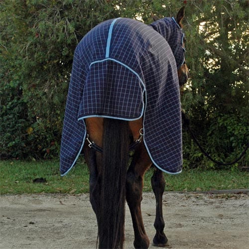 Go Horse Coolah Navy Polycotton Horse Rug