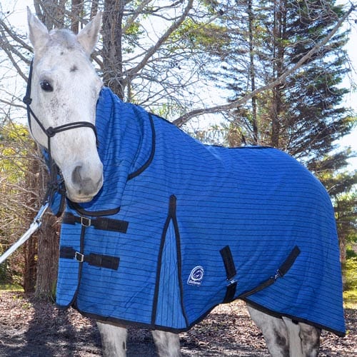 Go Horse Derby Canvas Combo Horse Rug - Unlined